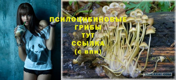 стафф Беломорск