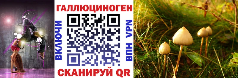 Галлюциногенные грибы Cubensis  Купить закладки  Кропоткин 